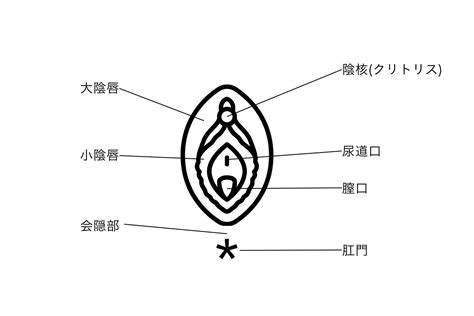 クリトリス 別名|「クリトリス」の意味や使い方 わかりやすく解説 Weblio辞書